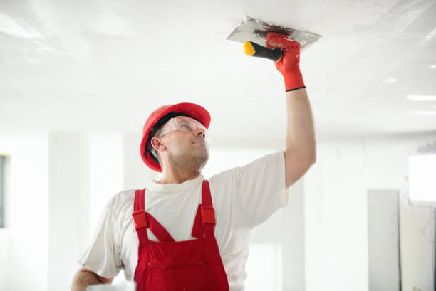 Best Mold-Related Health Consultation  in East Norwich, NY
