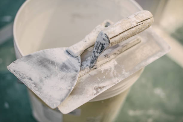 Best Mold Prevention Services  in East Norwich, NY