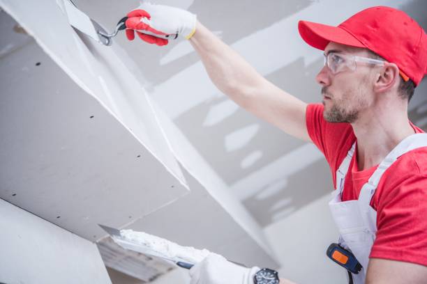 Best Mold Damage Restoration  in East Norwich, NY